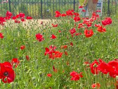 -国家植物园南园