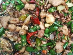 -铁山坪森林公园