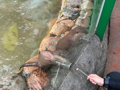-杭州野生动物世界