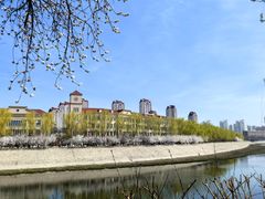 -桃花堤公园