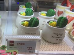 多肉蛋糕-85度C(福州连江万星店)
