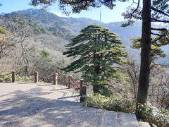 -黄山风景区