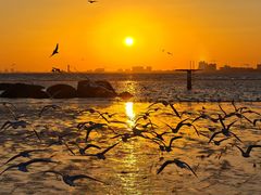 -老虎石海上公园