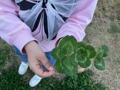 -中南财经政法大学(首义校区)