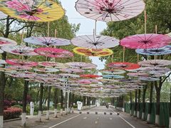 -千龙湖生态旅游度假区