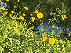 -烟水渔庄餐厅(西溪湿地店)