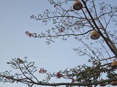 -风云岭森林公园