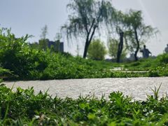 -禹州森林植物园