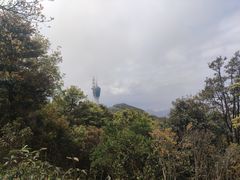 -梧桐山风景名胜区