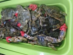 -烟台百纳瑞汀酒店