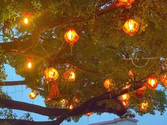 -亮庆餐厅·粤菜·早茶(篁庄店)