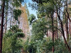 -同里国家湿地公园