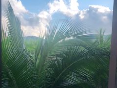 -三亚湾海居铂尔曼度假酒店