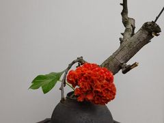 -璞素(浦东店)