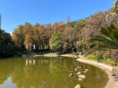 -黄埔荔枝公园