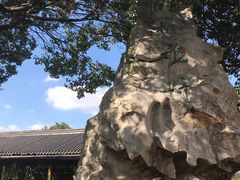 -南汇桃花村