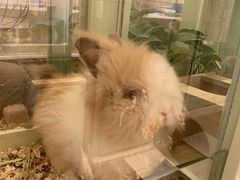 -龙猫仔乐园(惠福东路店)