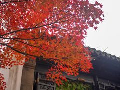 -惠山古镇·寄畅园