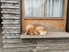 -东梓关景区村庄