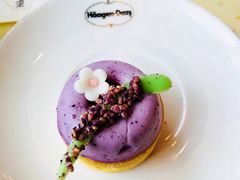 -哈根达斯(陆家浜路店)