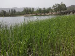 -乌素图国家森林公园