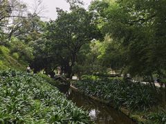 -桃花涧