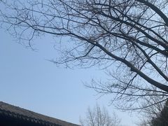 -兴福老面馆(寺路街店)