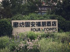-廊坊固安福朋喜来登酒店