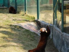 -泉州海丝野生动物世界