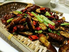 -老长春肉馆(创业大街店)