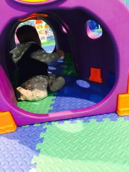 -爱婴室(上海浦建路店)