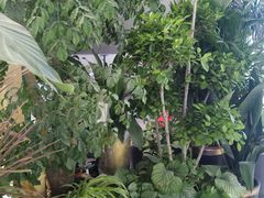 -BoBloom花店(晶耀前滩店)