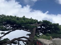 -罗田薄刀峰风景区