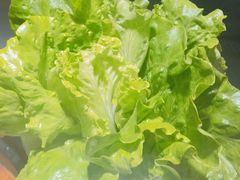 生菜-周渝食惦酸菜鱼(青浦店)