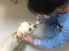 -谐和贝康宠物医院24小时·宠保定点(急重症转诊中心)