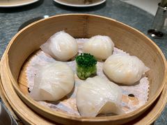 -金悦轩海鲜酒家(银河店)