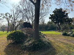 -上海海湾国家森林公园