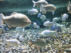 -成都浩海立方海洋公园