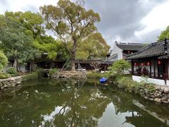 -上海醉白池公园