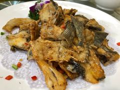 -寻味顺德·南记酒家·传统顺德菜·鱼生(广源路店)
