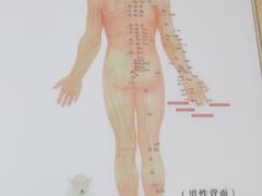-席仁堂推拿按摩脊柱调理(世纪科贸大厦店)