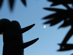 -三鹰之森吉卜力美术馆