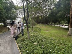-海珠湖公园