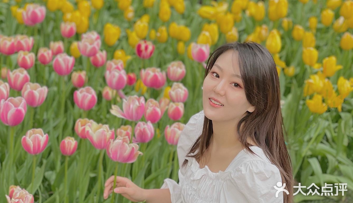 又到了一年一度和郁金香拍照的季节啦🌷