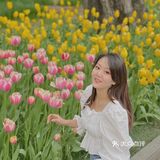 又到了一年一度和郁金香拍照的季节啦🌷