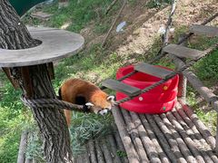 -大连森林动物园