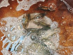 -杨厨的田园饭店(长城路店)