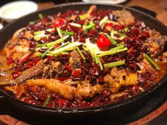 -老板恋上鱼(印象城店)