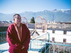 -喵屿·大理花园猫咖