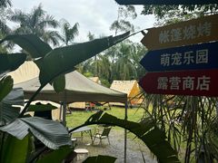 -芭厘农庄老字号·清远鸡